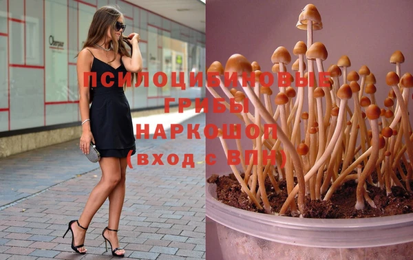 прущая мука Алзамай
