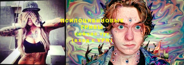 спиды Алексин