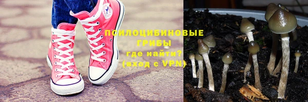 ALPHA PVP Остров