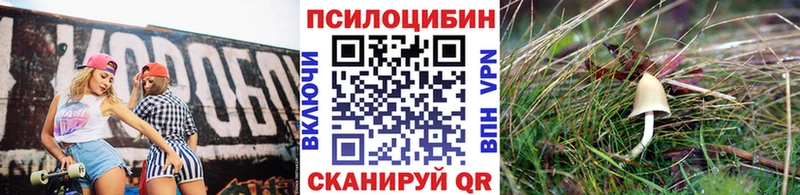 наркошоп  Чекалин  Псилоцибиновые грибы Cubensis 